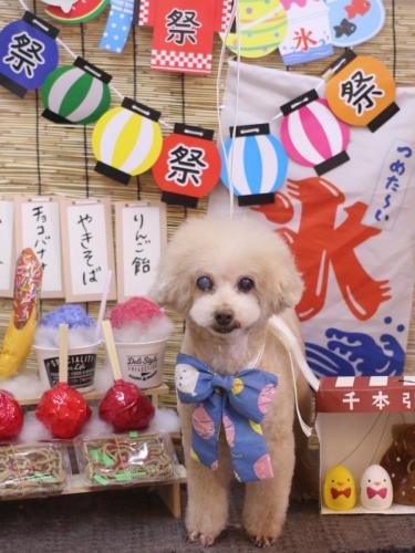 20240717HONEYちゃん